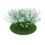 花模型  植物模型