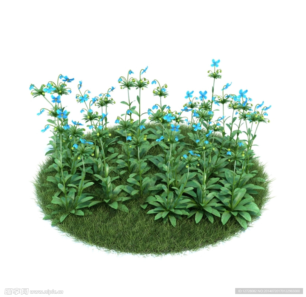 花模型  植物模型