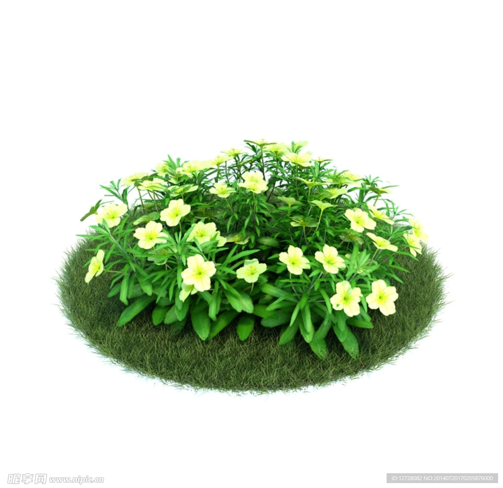 花模型  植物模型