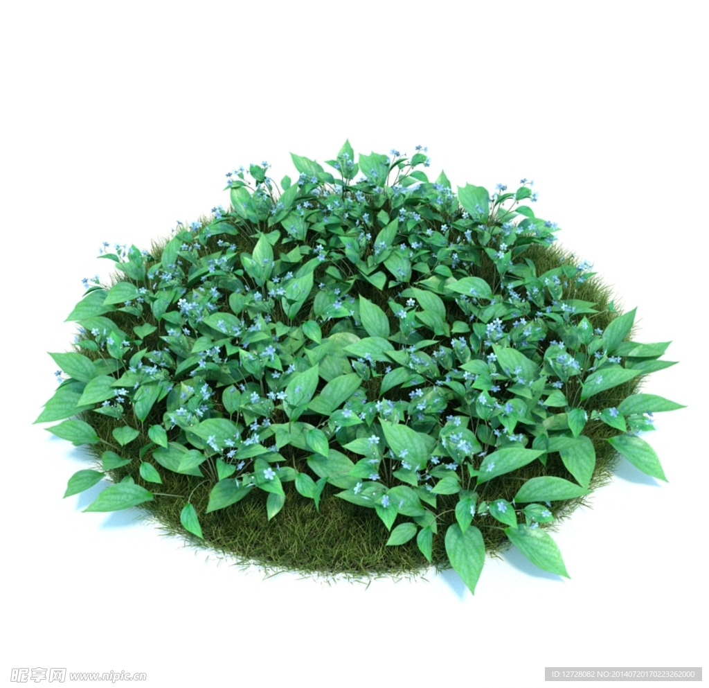 花模型  植物模型