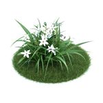 花模型  植物模型