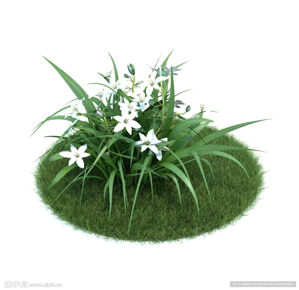 花模型  植物模型