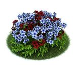 花模型  植物模型