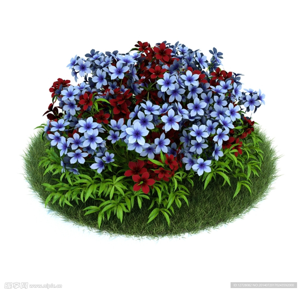 花模型  植物模型