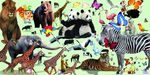 动物插图