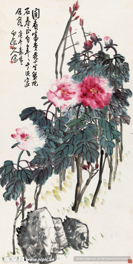 富贵花开