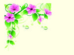 鲜花绿叶
