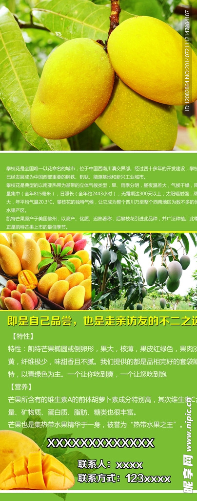 水果易拉宝