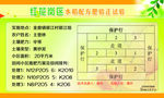 金鼎镇银江村银江