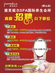 美容招聘