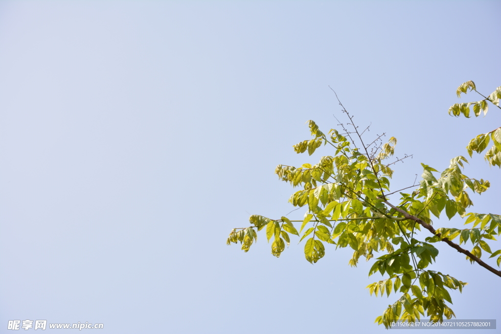 天空