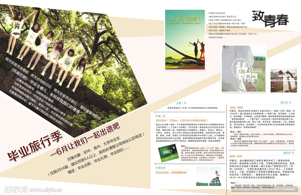 致青春