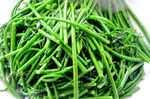五指山野菜