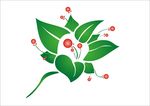 绿色植物