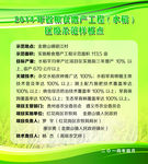 金鼎山镇银江村