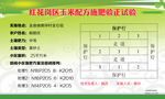 金鼎镇黄钟村金石组