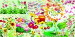 花插图
