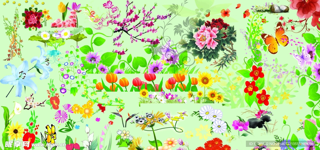 花插图