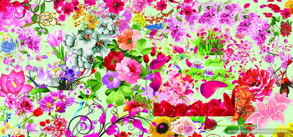 花插图