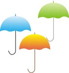 雨伞