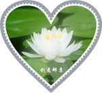 邮票