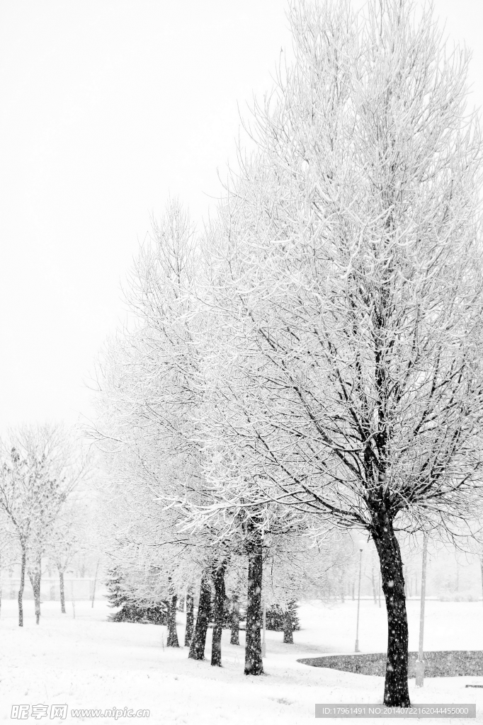 雪景