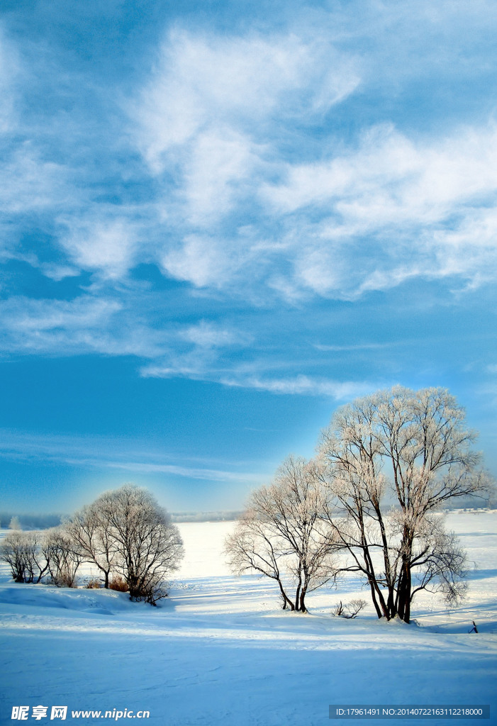 雪景
