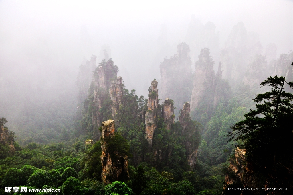 雾色天子山