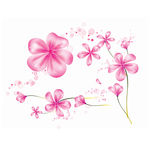 粉色 花