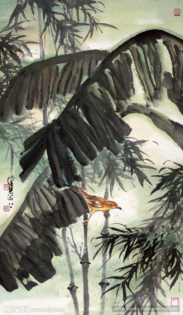 蕉荫翠鸟