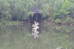 安吉百草园