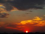 夕阳红