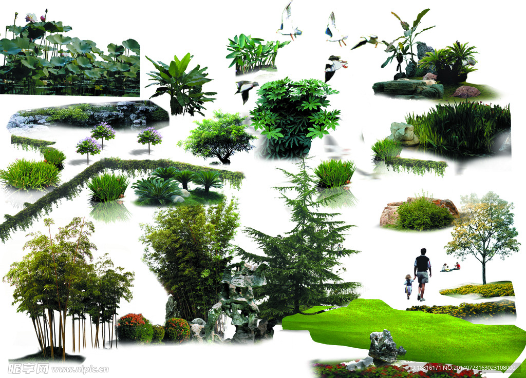 园林景观设计植物素材
