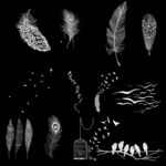 鸟类羽毛笔刷