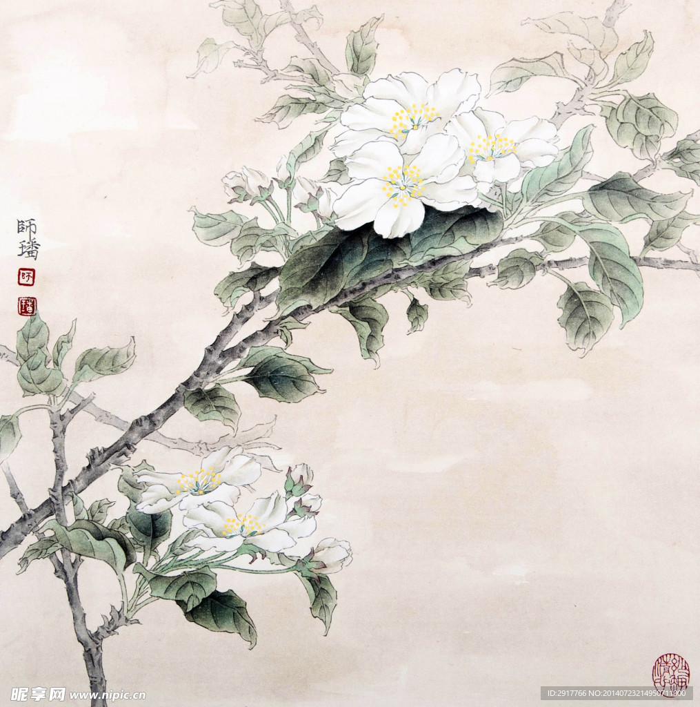 花卉国画