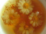 菊花茶