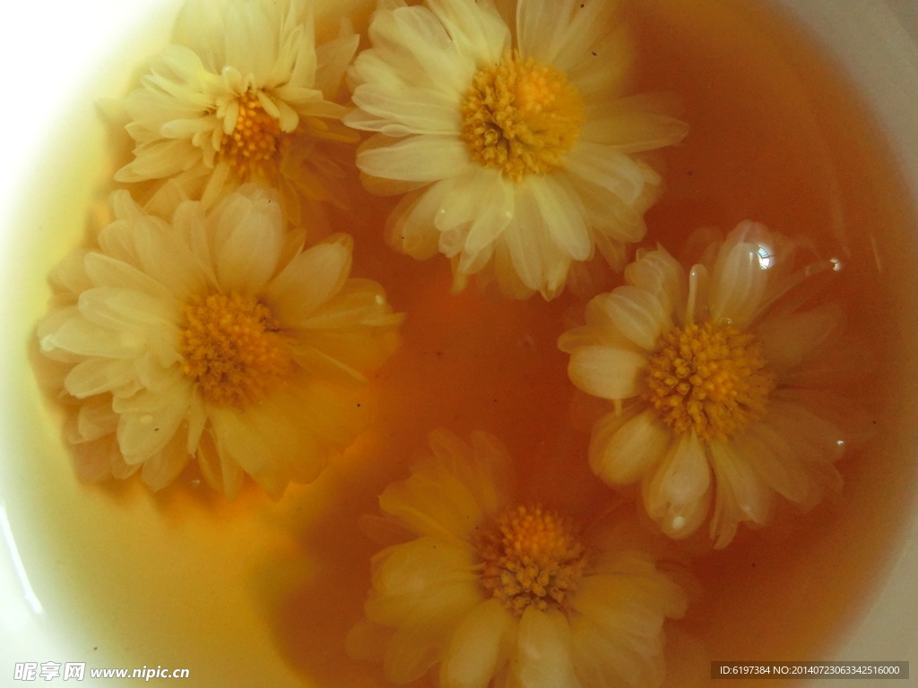 菊花茶