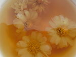 菊花茶