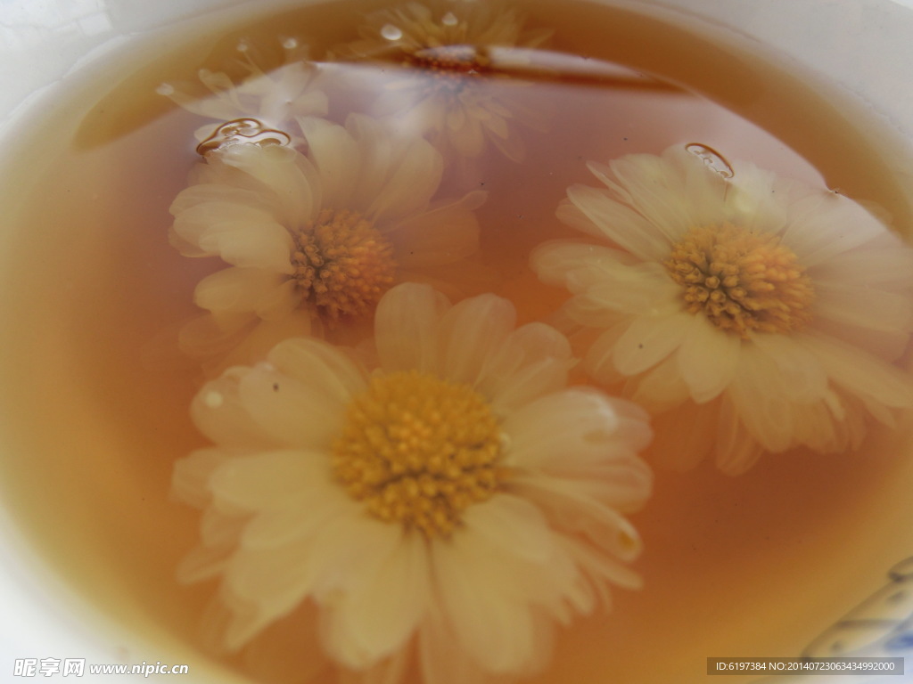 菊花茶
