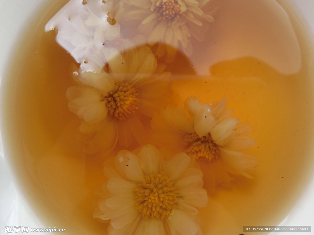 菊花茶