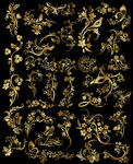 金色华丽花纹藤蔓设计