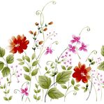 花纹背景