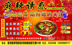 麻辣诱惑