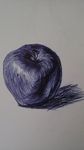 蓝色圆珠笔素描苹果画