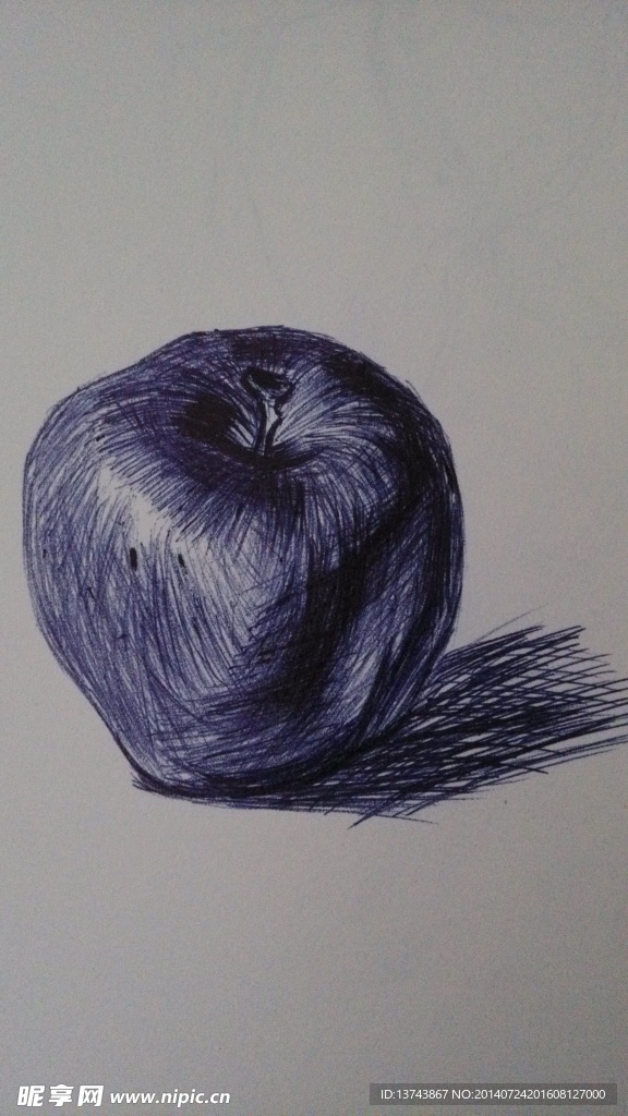 蓝色圆珠笔素描苹果画