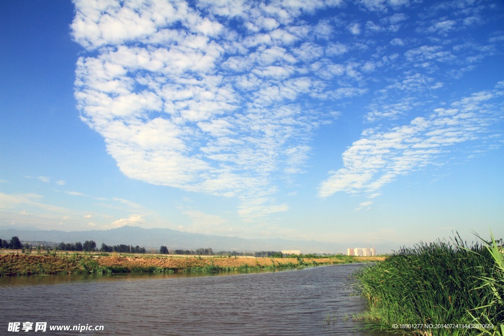 蔡家坡渭河湿地公园