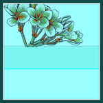 花纹