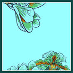 花纹