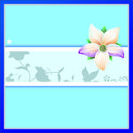 花纹