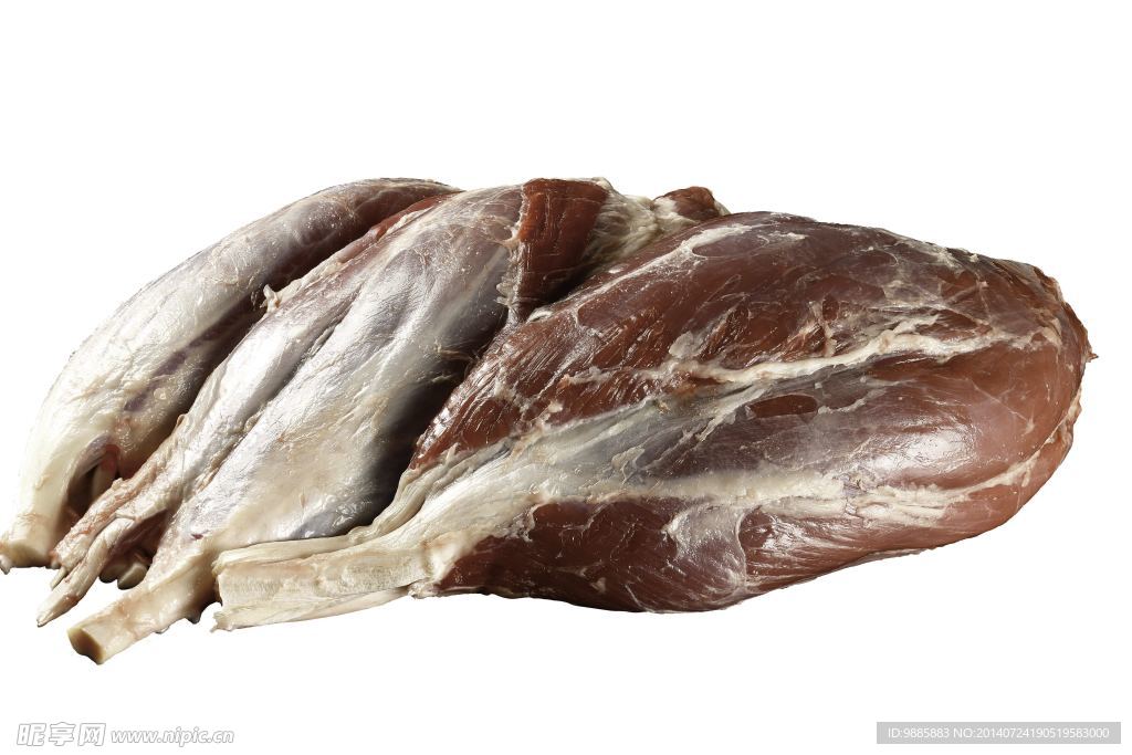 腱子肉